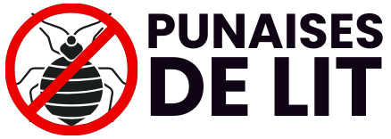Traitement Punaises de Lit Paris 75