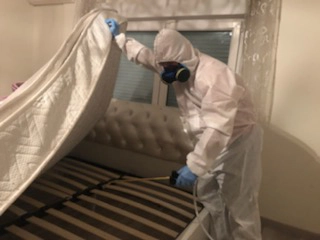 Traitement chimique punaises de lit à Paris 75