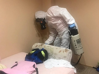 Traitement thermique punaises de lit à Paris 75