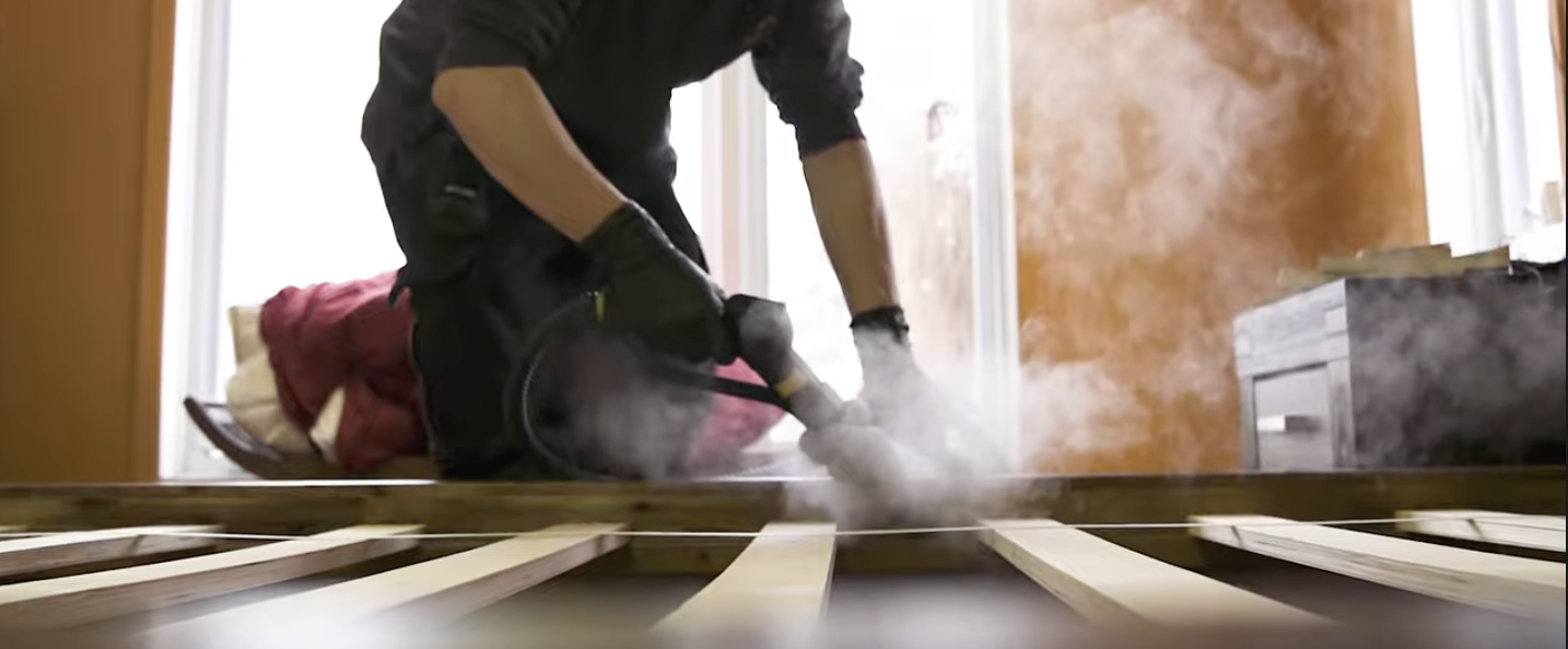 Traitement à la vapeur pour punaises de lit à Paris 75